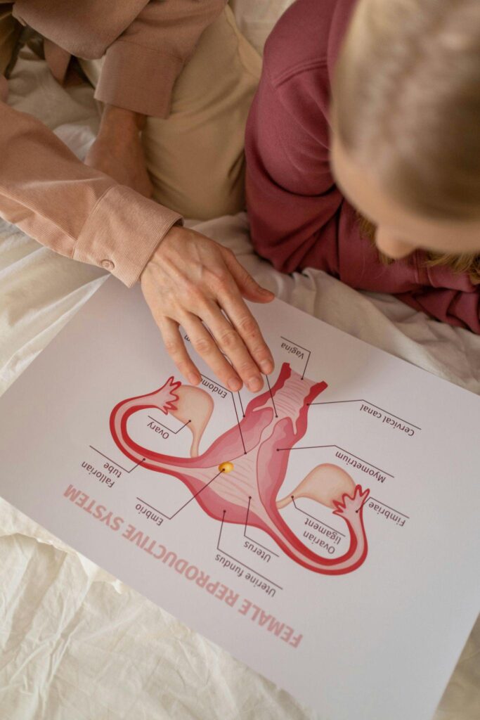 A mother pointing at a female anatomy diagram