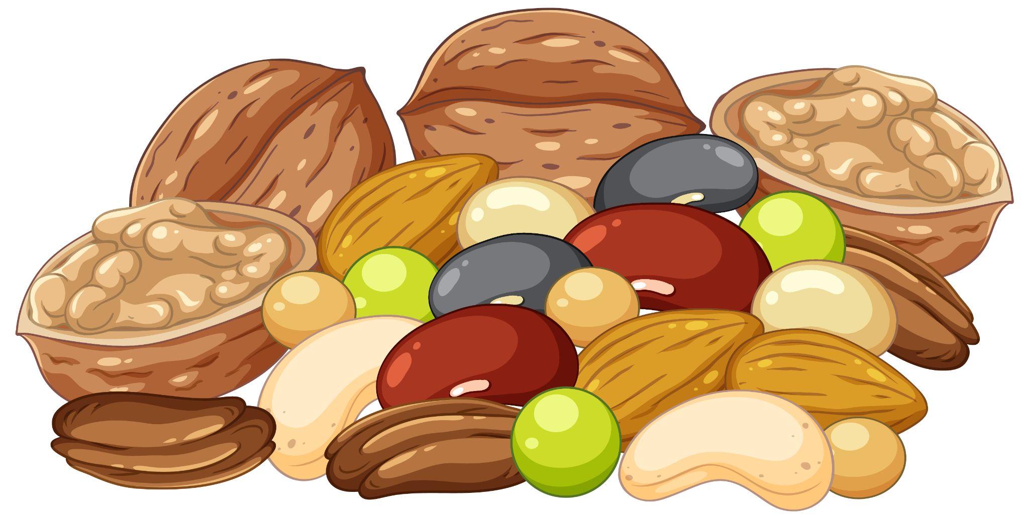 Illustration of nuts and legumes, rich plant-based sources of iron.
