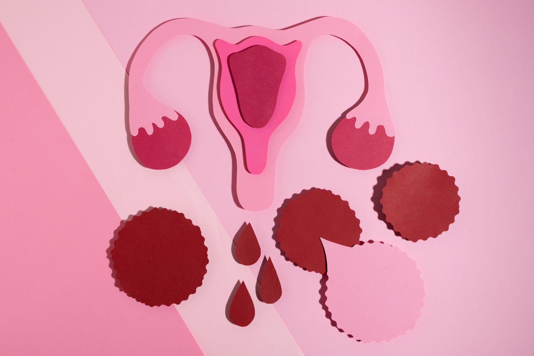 A paper-cut model of the uterus with red drops