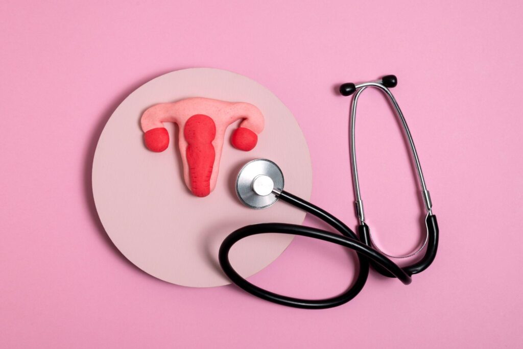 A model of the female reproductive system with a stethoscope