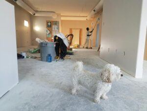 Ongoing house cleaning.