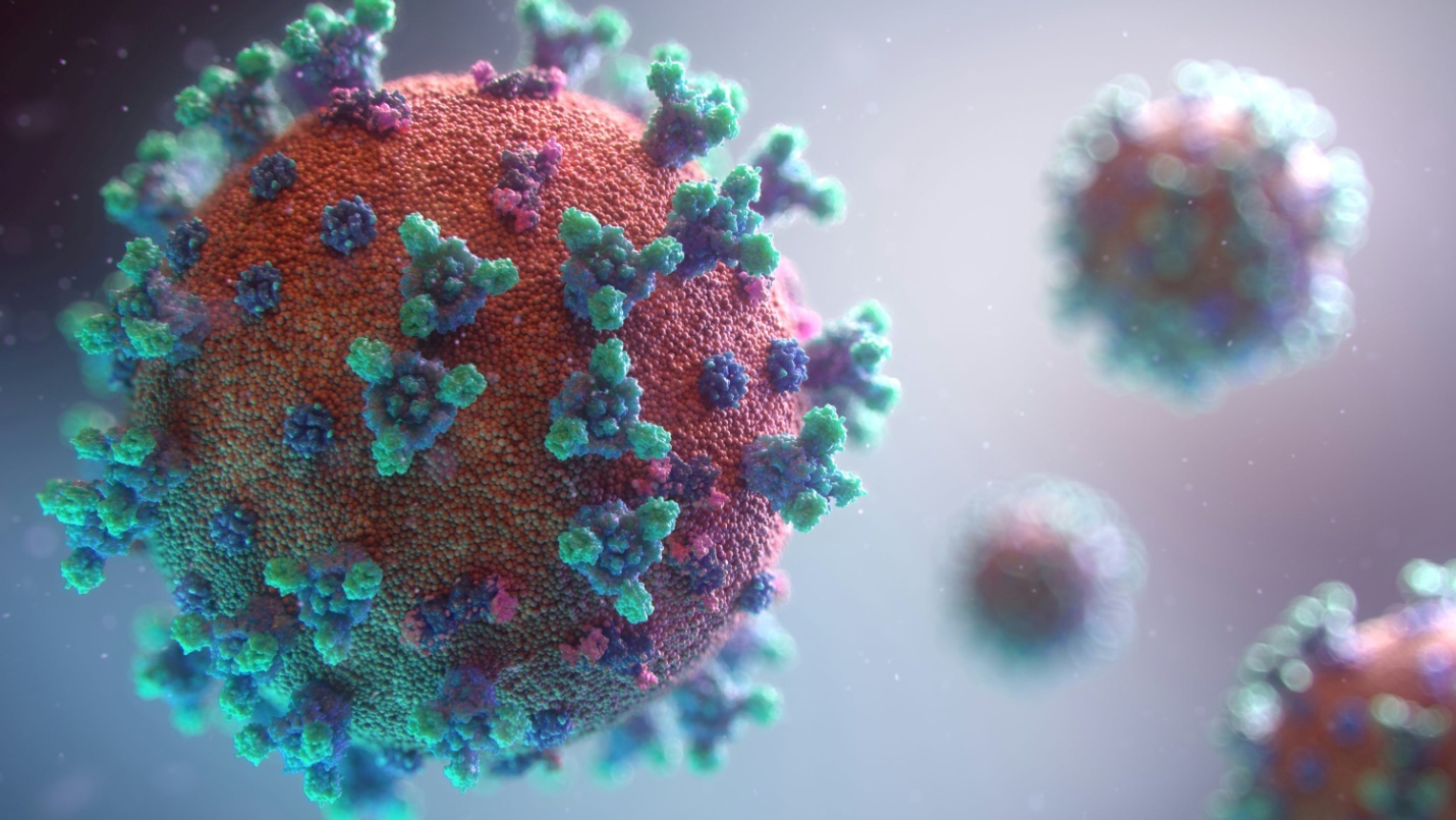 Close-up of a virus